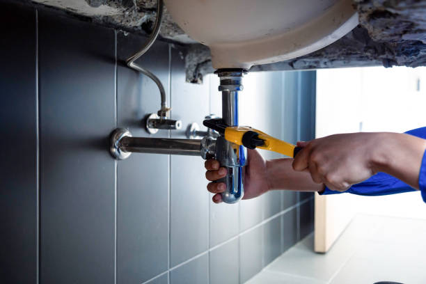 Best Commercial Plumbing Services  in Mount Ida, AR